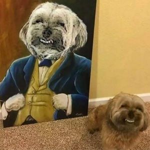 Meet your Posher, Jon